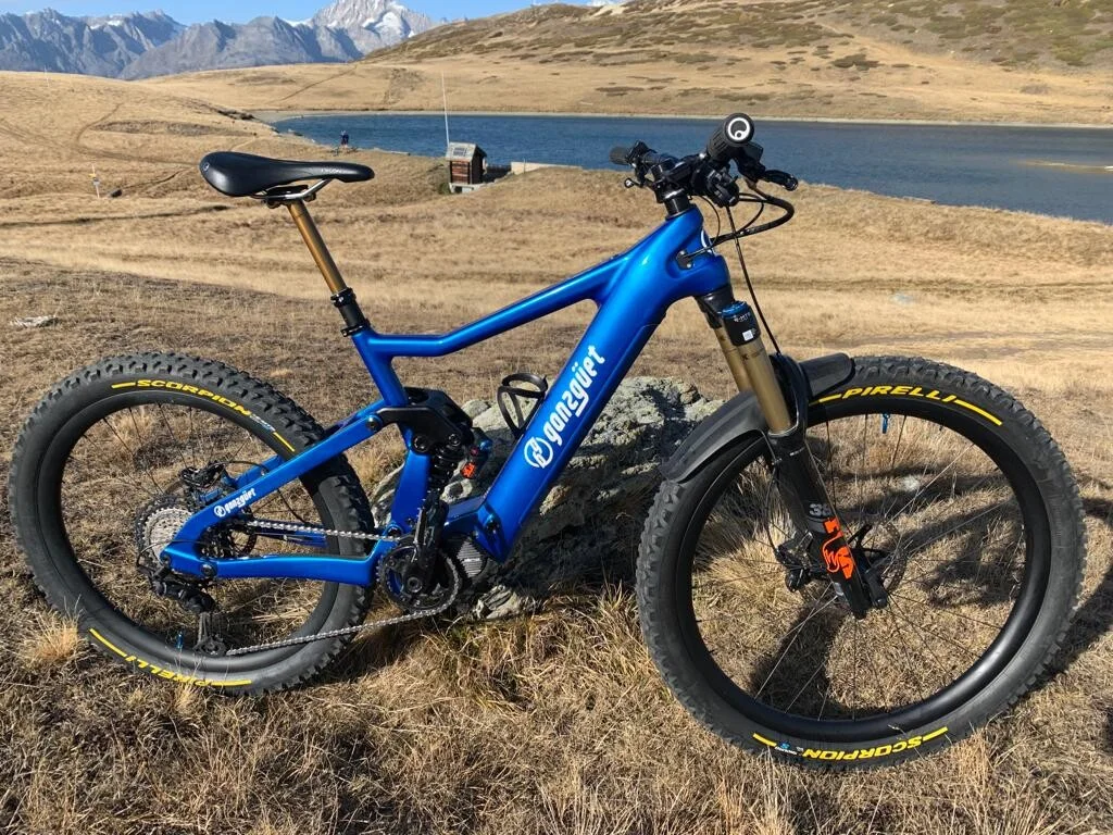 Light eBike